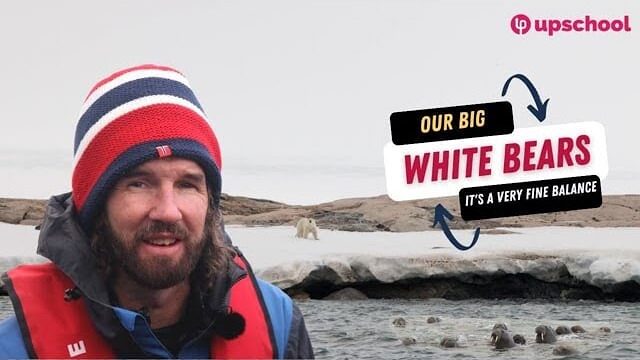 Our Big White Bears